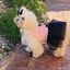 Ideal Pets, Vestido para perros, Sueño Parisino, , large indicador imagen numero 2