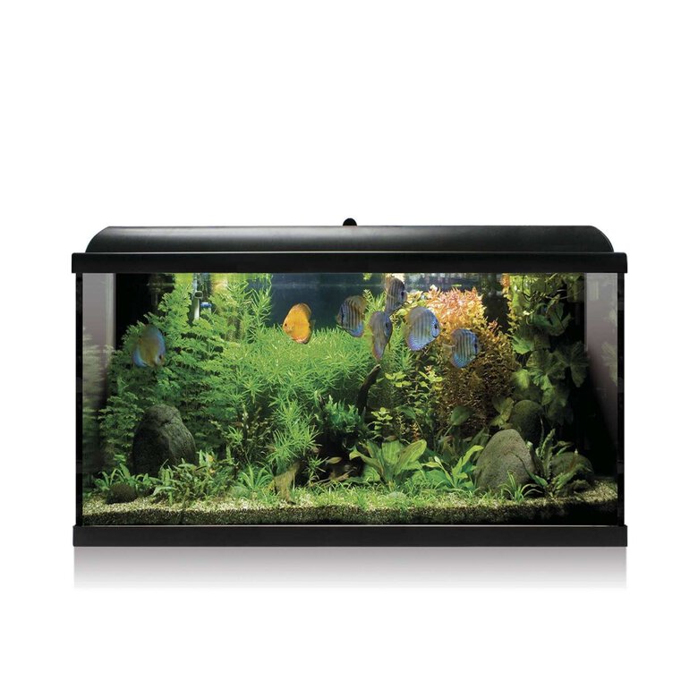 Kit AQUA-LED PRO  100 NEGRO con filtro interiork47,2x30,9x80cm, , large image number null