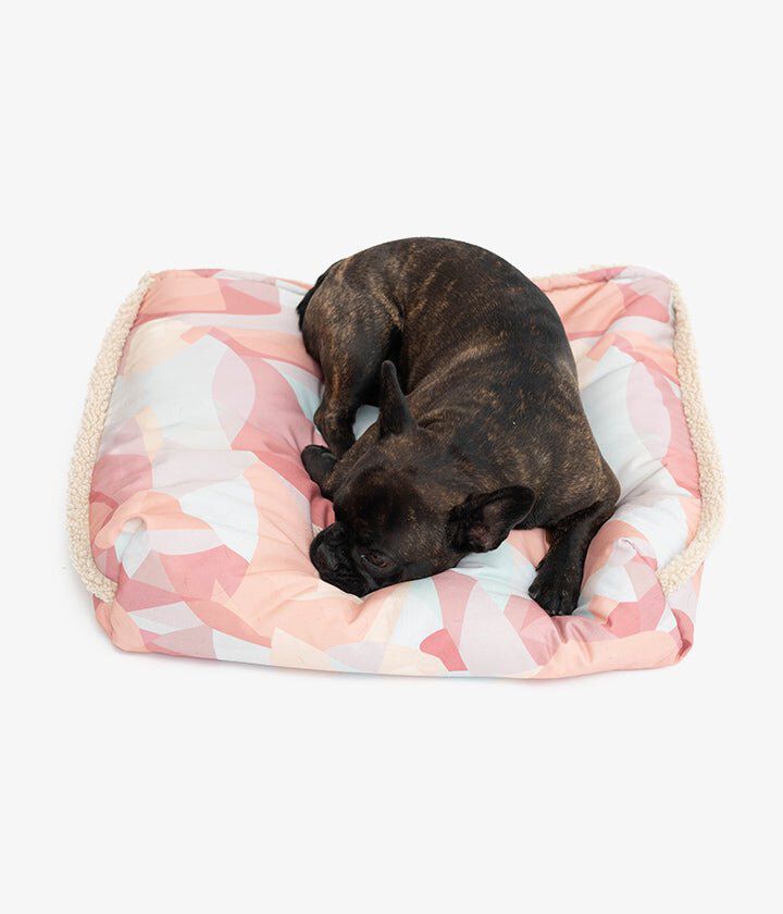 Pet and Co Bolsa De Cama De Lona (Piel De Oso) Snuggle - Perros, , large Imagen numero 4