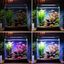 Nobleza - Luz de Acuario Peces Tanque Lámpara Iluminación de Plantado de Pecera Temporizador Ajustable, 10 Niveles de Brillo para Tanque, , large indicador imagen numero 5