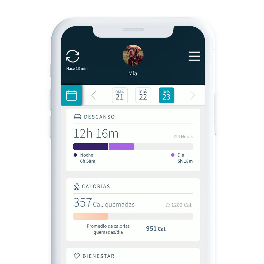 Sure Petcare Animo monitor de Conducta para perros, , large Imagen numero 9