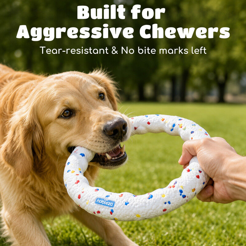 Nobleza Frisbee para Perros Pack de 2 &ndash; Disco Volador Interactivo de Goma E-TPU Indestructible y Ultraligero, Juguete Flotante y Limpiadientes para Adiestramiento en Playa y Parque &Oslash; 23 cm, , large Imagen numero 3