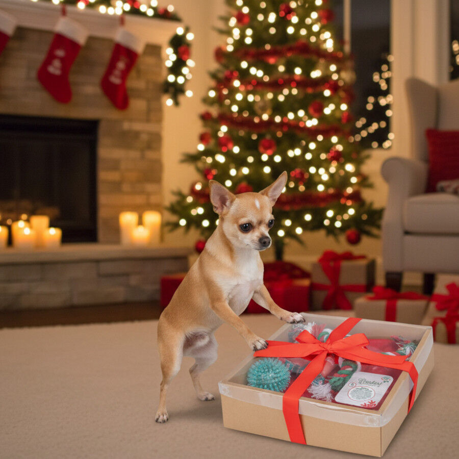 Wonder Christmas Caja de Juguetes Navide&ntilde;os para perros, , large Imagen numero 3