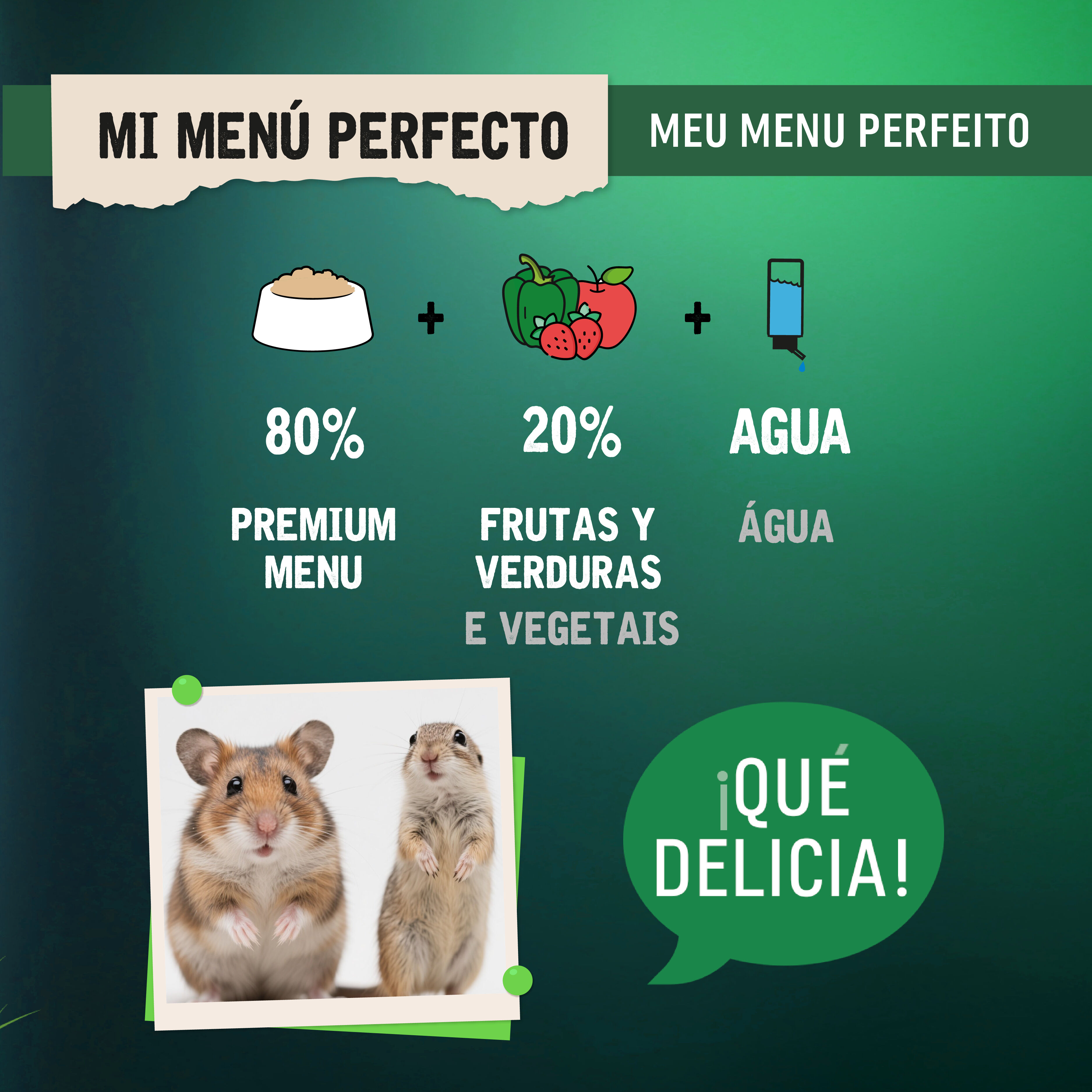 0.8 kg Small Life Premium Men&uacute; Pienso para h&aacute;mster, , large Imagen numero 5