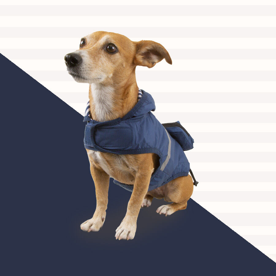 Outech Impermeable con Bolsillo Azul Marino para perros thumbnail