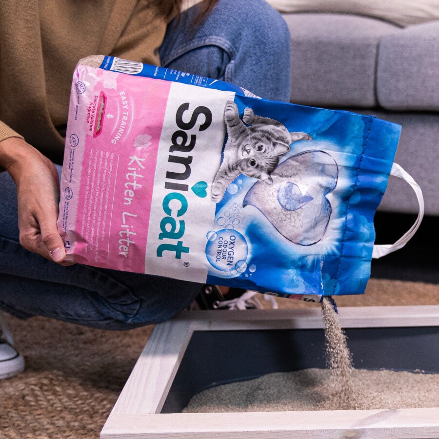 Sanicat Kitten Arena Superabsorbente para gatitos thumbnail