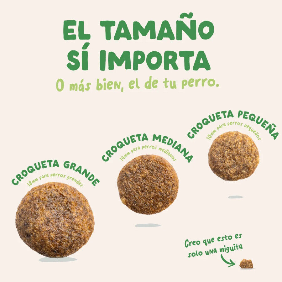 3 kg Edgard & Cooper Pienso Cordero para perros adultos mini, , large Imagen numero 4