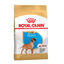12 kg Royal Canin Puppy Boxer pienso para cachorros, , large indicador imagen numero 1