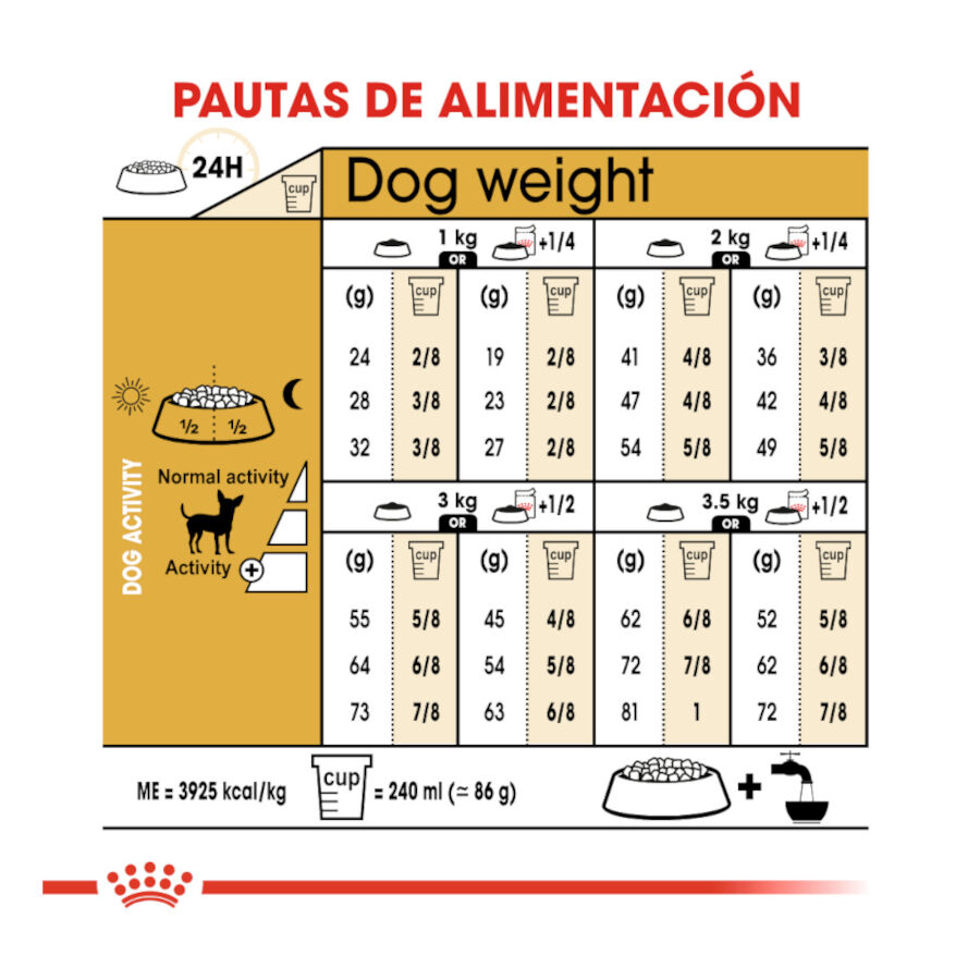 Royal Canin Adult Chihuahua pienso para perros thumbnail