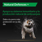 Pro Plan Natural Defences+ Suplemento para perros, , large image number null