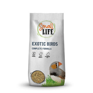 Small Life Comida para aves exóticas