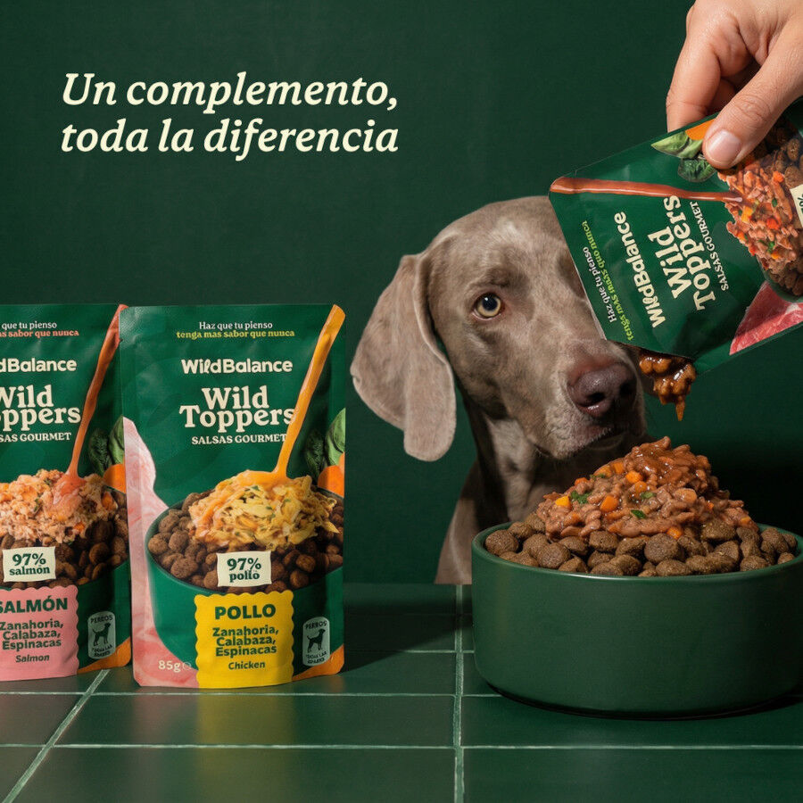 85 g Wild Balance Toppers Ternera salsa para perros, , large Imagen numero 2
