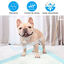 Empapadores de entrenamiento para perros 60*90 cm  25pcs / paquete, , large indicador imagen numero 2