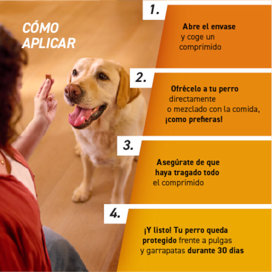 Frontpro Comprimidos Masticables Antiparasitario para perros, , large Imagen numero 5