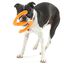 Juguete en forma de S para perros color Naranja, , large indicador imagen numero 3