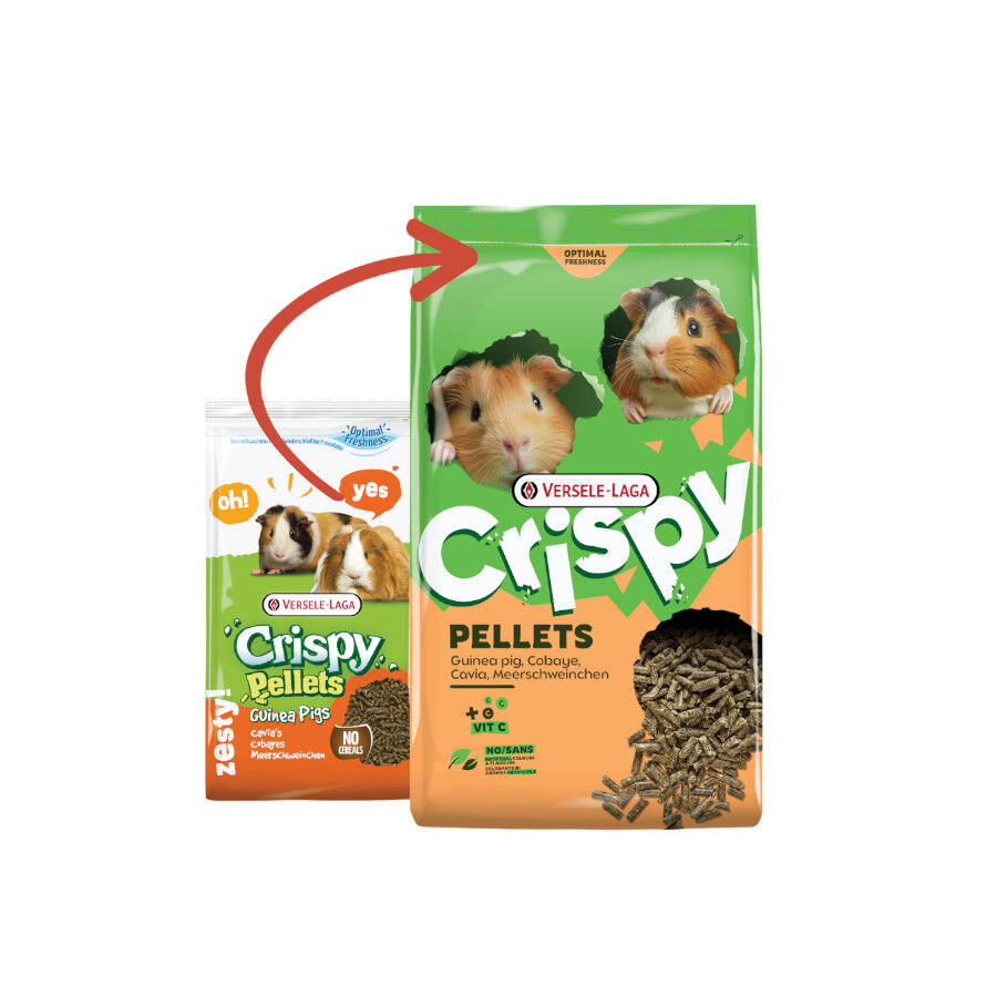2 kg Versele-Laga Cripsy Pellets Pienso para cobayas, , large Imagen numero 2