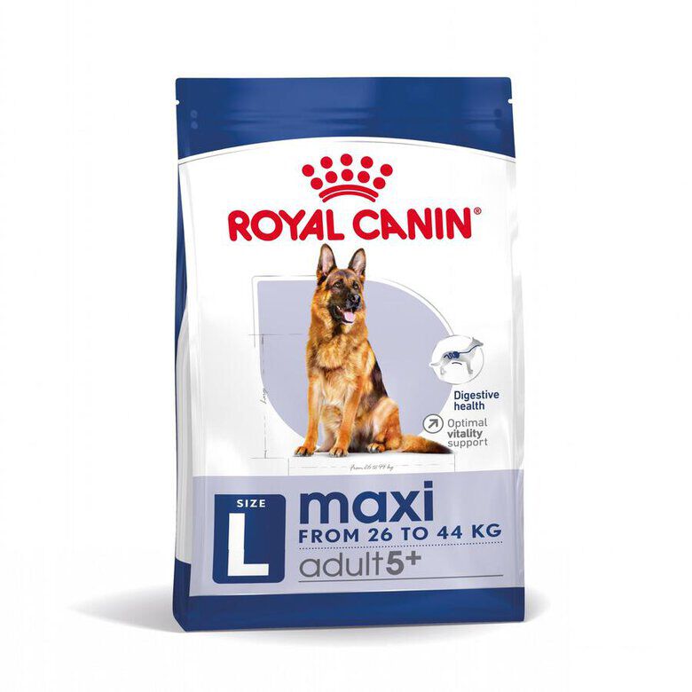 15 kg Royal Canin Maxi Adult 5+ pienso para perros senior de raza grande, , large Imagen numero 5