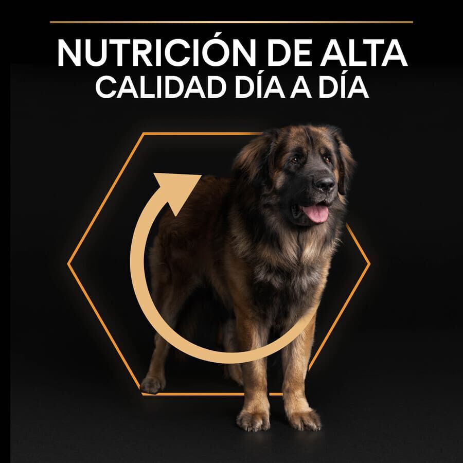 Pro Plan Large Robust Adult pienso para perros thumbnail