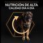 16.5 kg (14 + 2.5 kg ¡gratis!) Pro Plan Large Robust Adult pienso para perros, , large indicador imagen numero 8