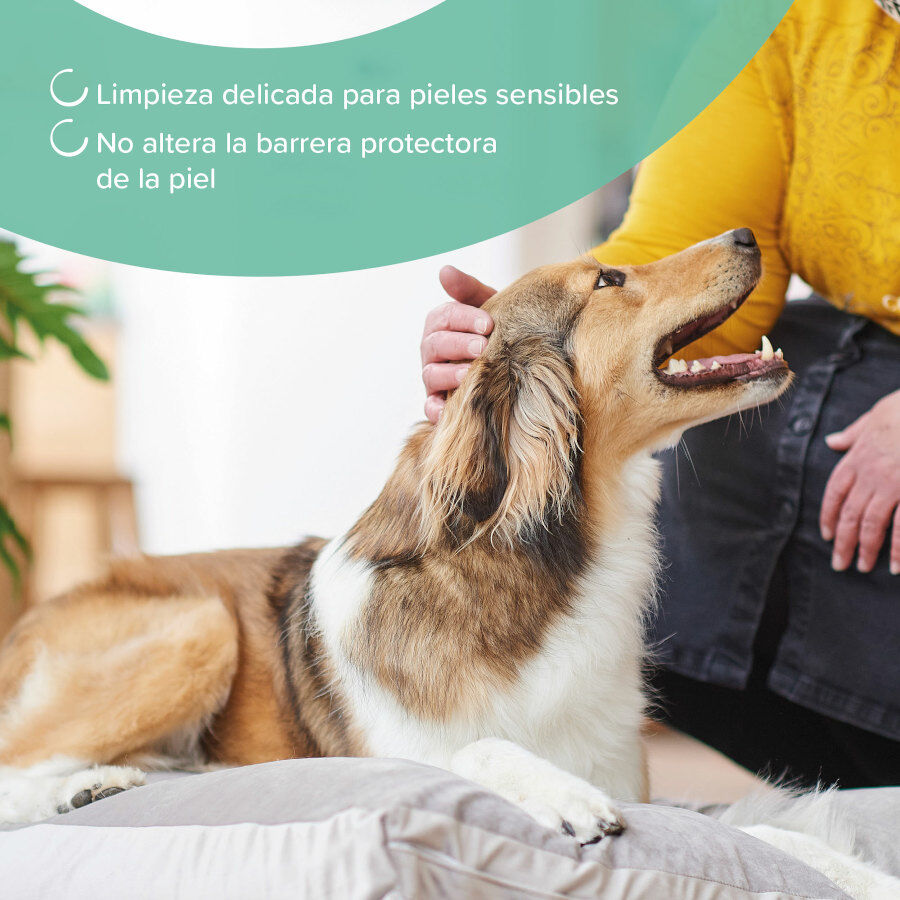 Beaphar Champú Hipoalergénico para perros y gatos thumbnail