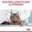 85 g Royal Canin Nutrition Appetite Control Care gelatina para gatos, , large indicador imagen numero 8