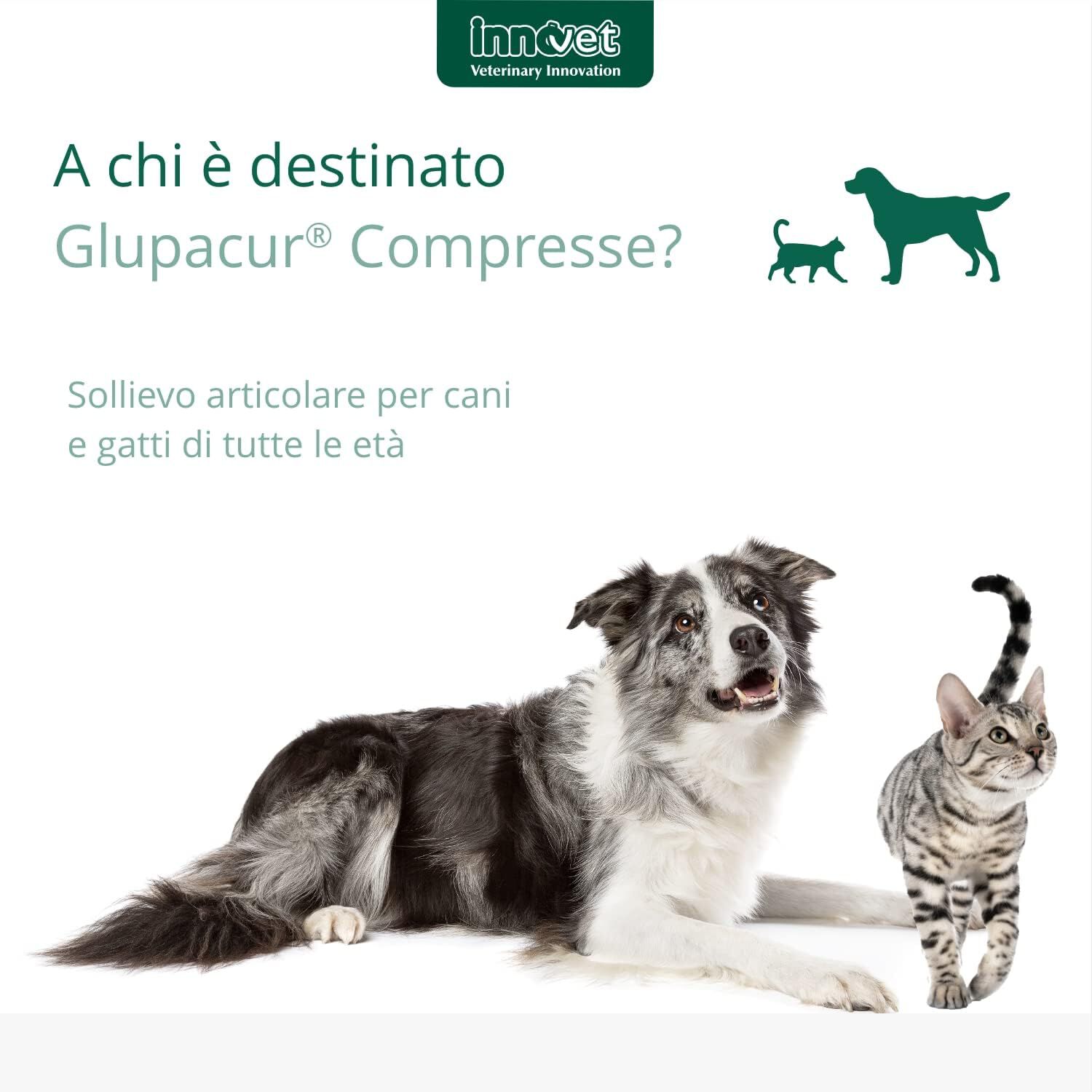 Innovet Glupacur Apoyo del matabolismo articular para mascotas, , large Imagen numero 4
