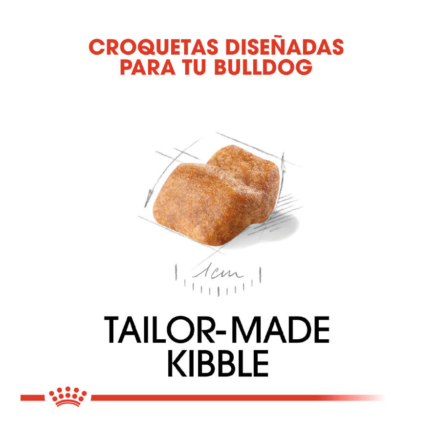 Royal Canin Puppy Bulldog pienso para cachorros thumbnail