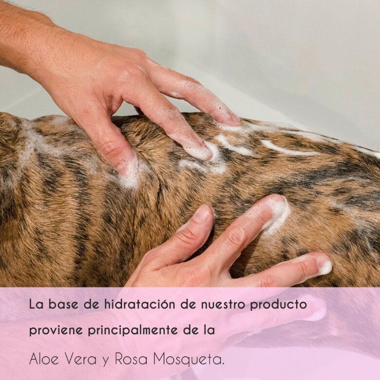 Petuxe pack champú y spray preventivo para todas las razas (perros y gatos), , large image number null
