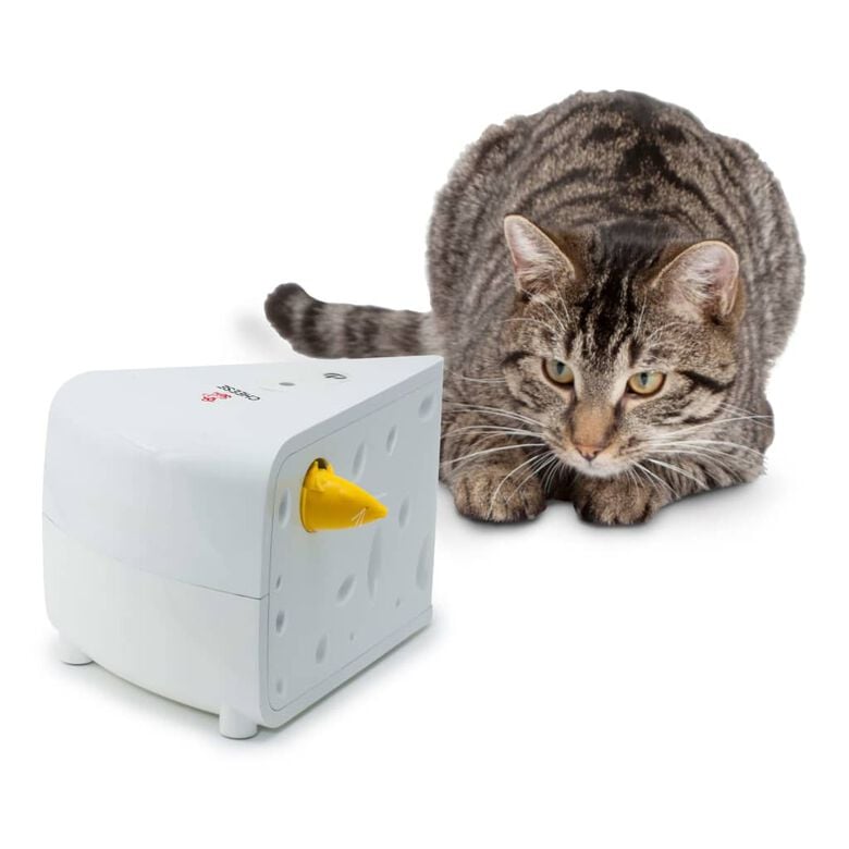 Frolicat Señuelo interactivo temática queso para gatos thumbnail