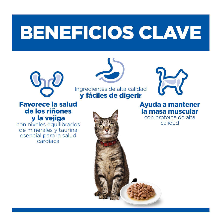 85 g Hill's Science Plan Adult Ternera Sobre en Salsa para gatos, , large Imagen numero 4