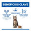 85 g Hill's Science Plan Adult Ternera Sobre en Salsa para gatos, , large indicador imagen numero 4