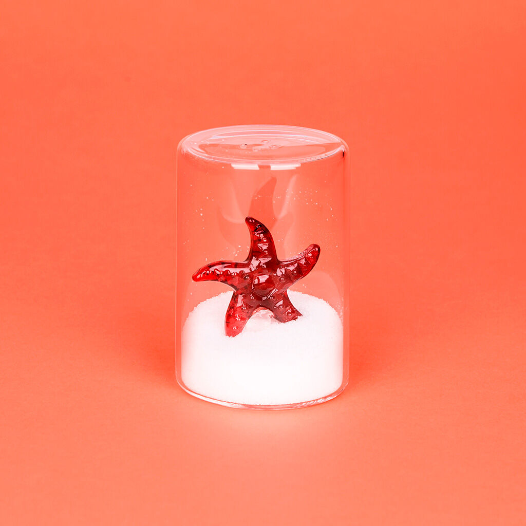 Balvi Salero Starfish Color rojo Con figura en forma de estrella de mar Borosilicato, , large Imagen numero 3