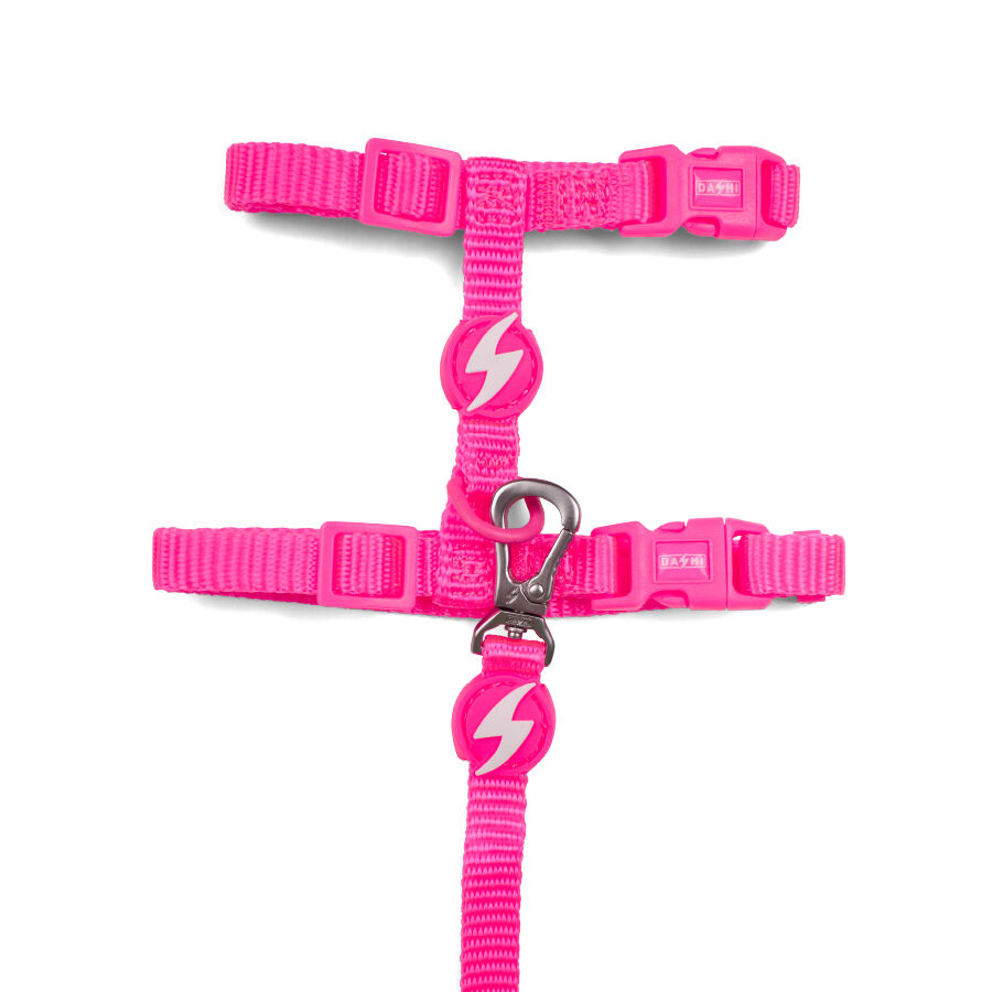 Arn&eacute;s + Correia para gatos Neon Rosa, , large Imagen numero 1