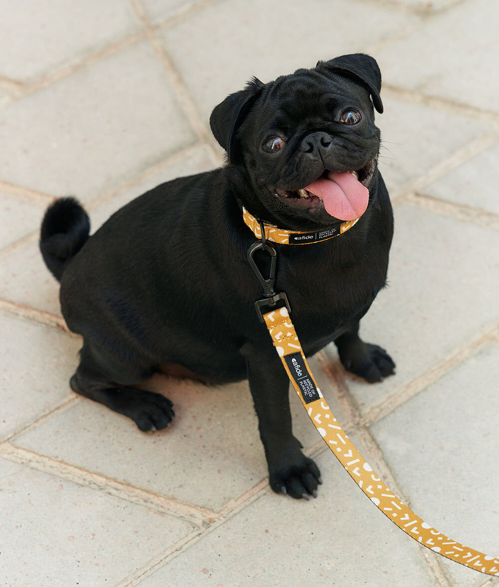 Correa 1,2m PET Reciclado Dise&ntilde;o Memphis Mostaza, Juno, , large Imagen numero 4