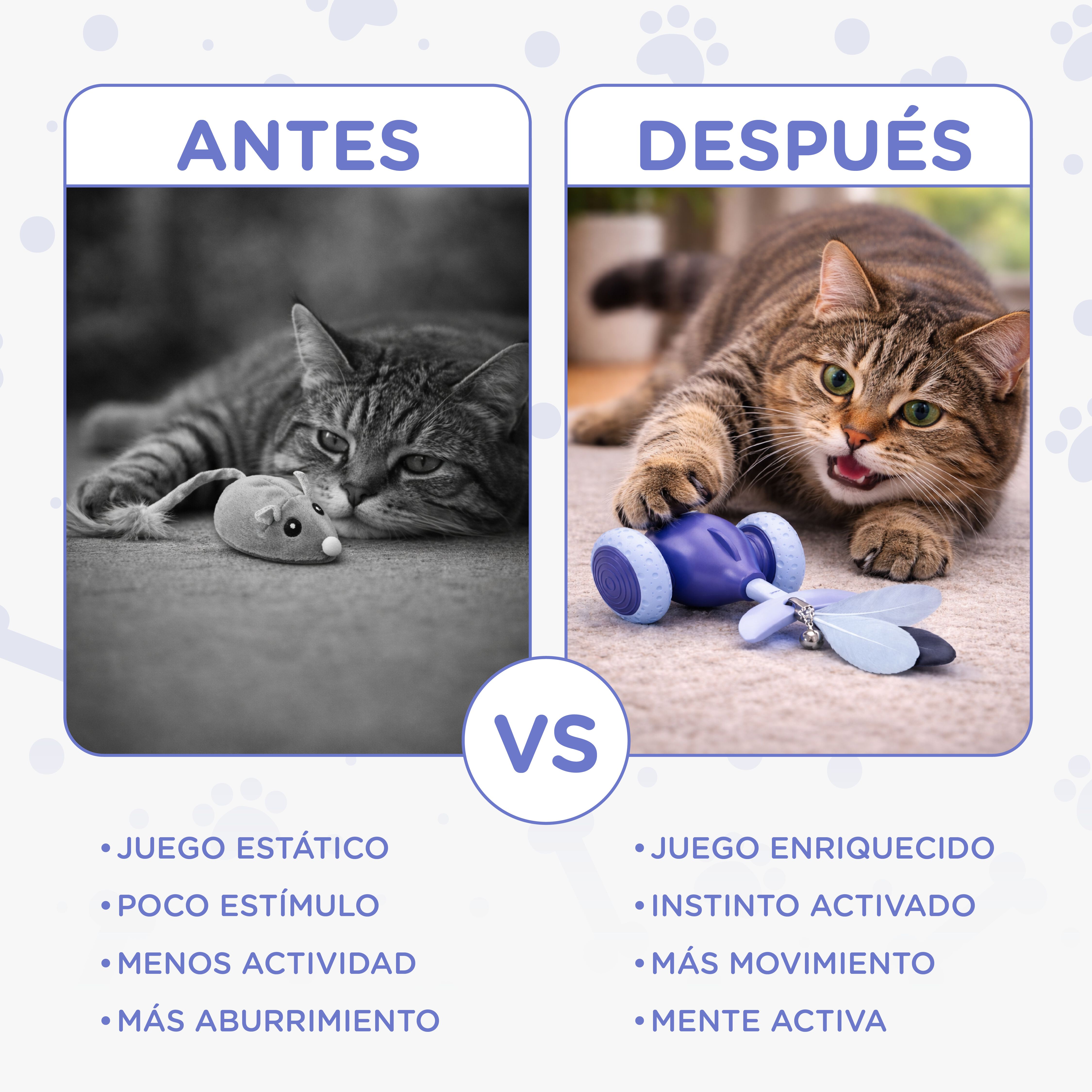 TheKingPet juguete interactivo recargable para gatos con mando, LED y plumas, , large Imagen numero 5