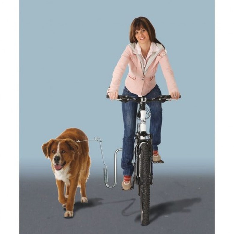 Soporte para pasear en bicicleta para perros color Plateado, , large image number null