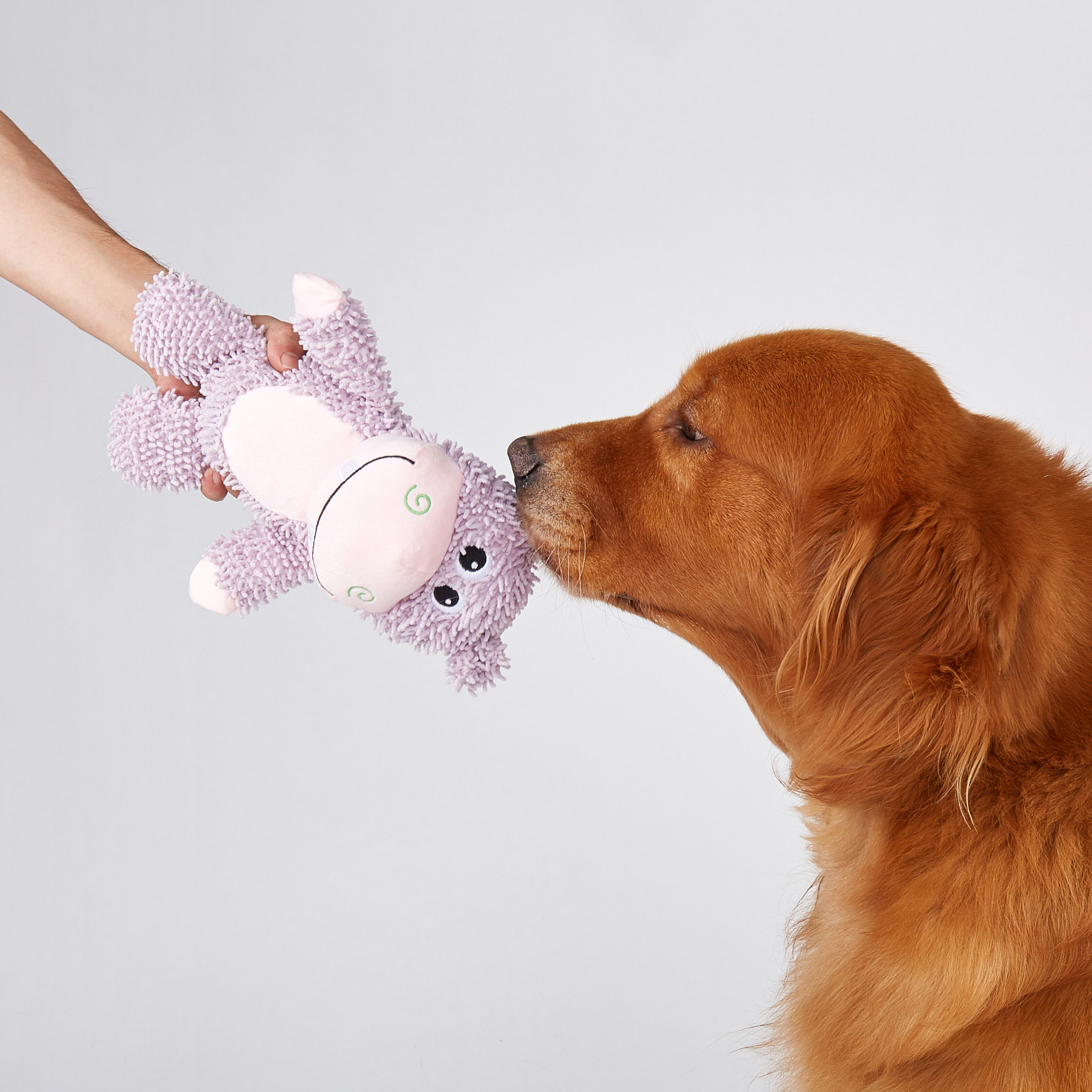 Juguete Resistente para Perro &ndash; Hipop&oacute;tamo, , large Imagen numero 2