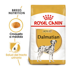Royal Canin Adult Dálmata pienso para perros