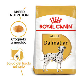 Royal Canin Adult Dálmata pienso para perros