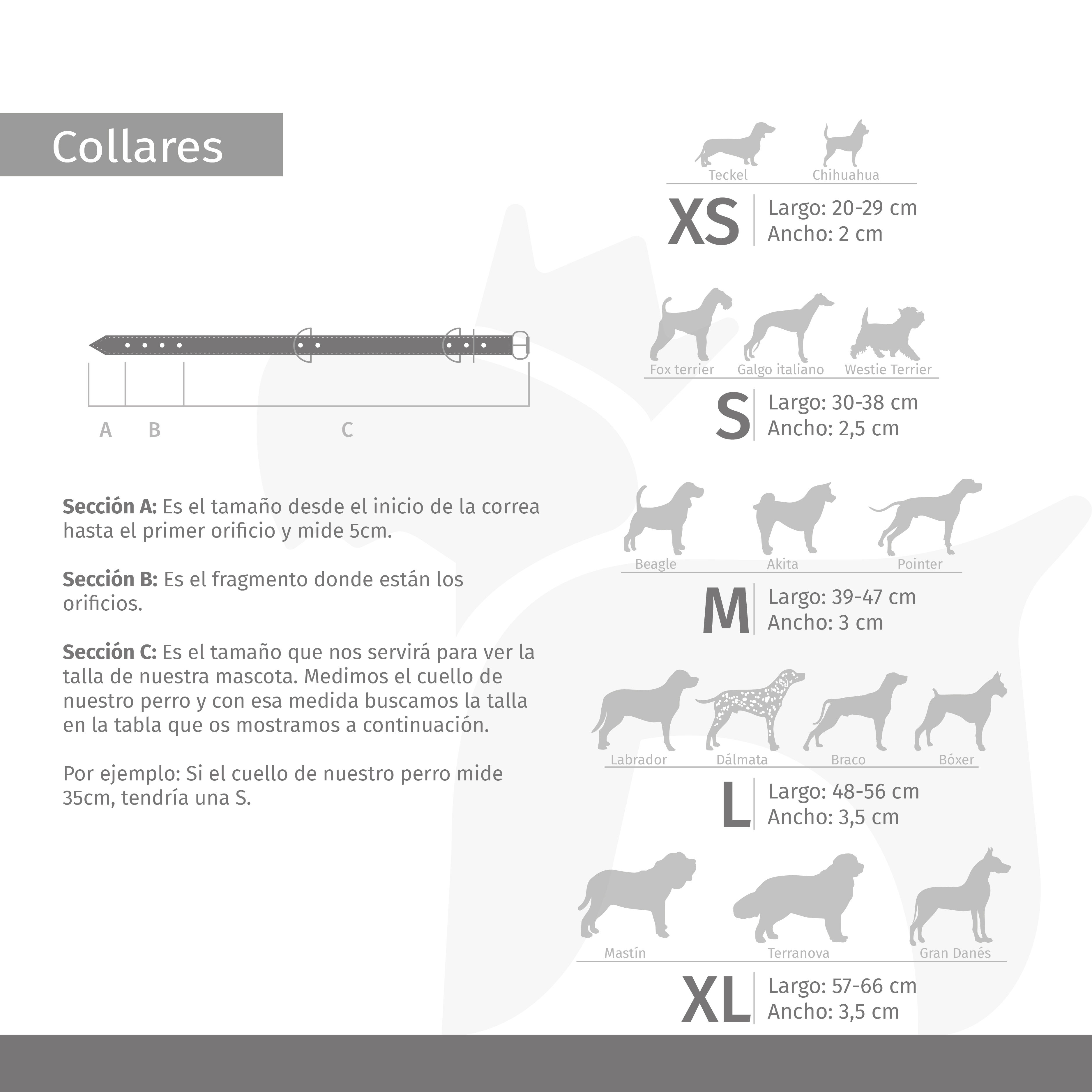 COLLAR GUINEA - XL, , large Imagen numero 5