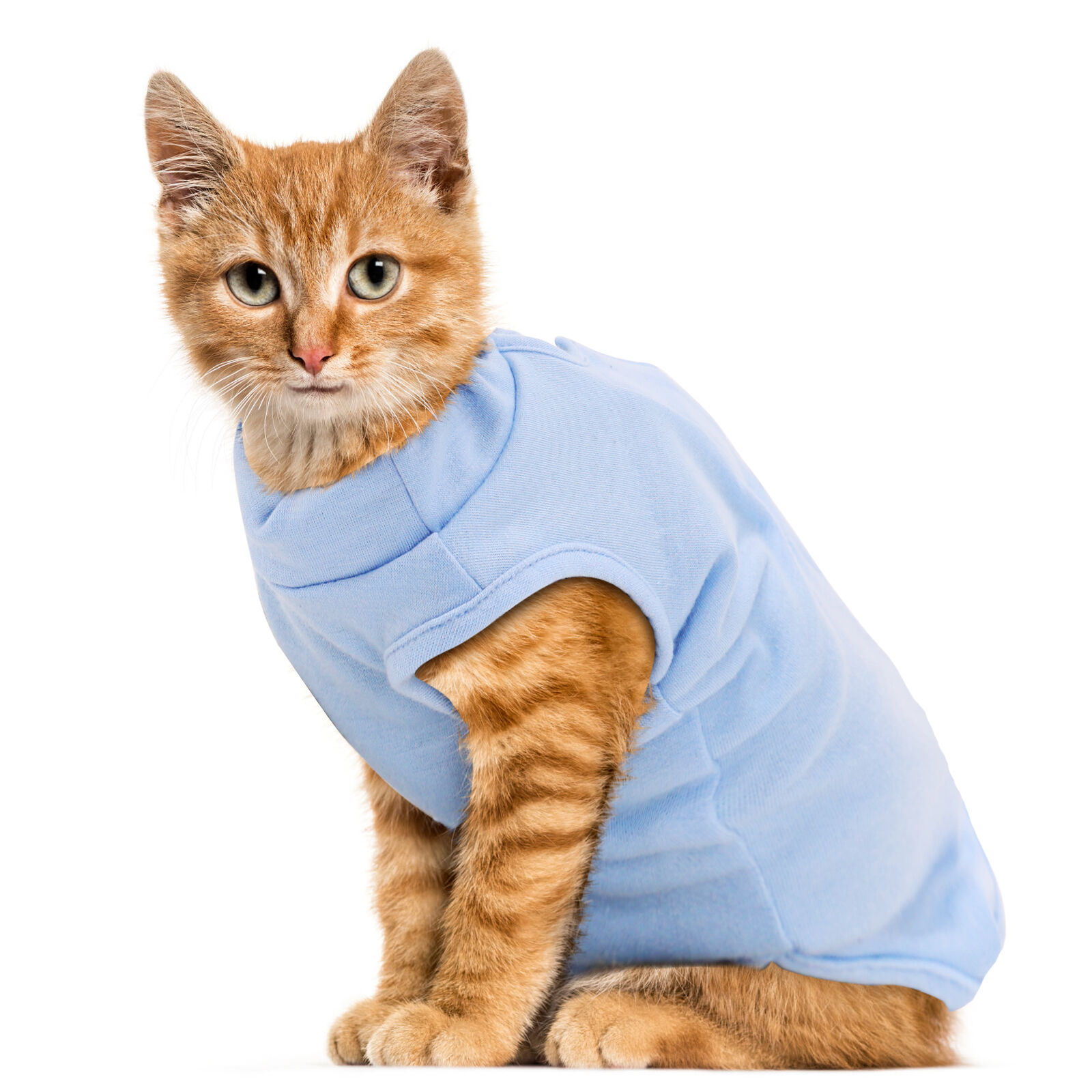 Nobleza - Chaleco de recuperaci&oacute;n para Perros y Gatos, Traje de Recuperaci&oacute;n Despu&eacute;s de la Cirug&iacute;a, Protector de heridas Abdominales, Recuperaci&oacute;n Transpirable, para Gato y perros peque&ntilde;os (Blue, M), , large Imagen numero 1