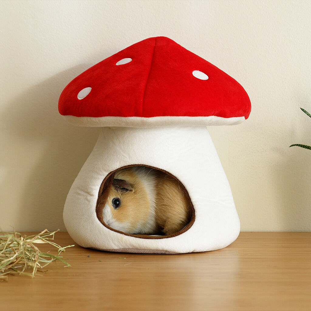 Balvi Cama para cobaya Mushroom Cama de tela con dise&ntilde;o de seta para peque&ntilde;os roedores Poli&eacute;ster, , large Imagen numero 3