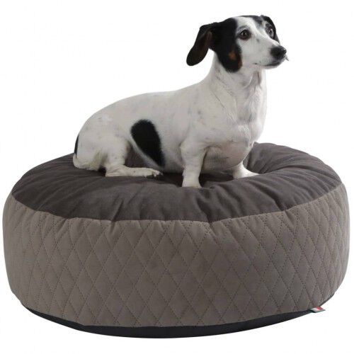 Cama de estilo puf para perros color Multicolor, , large Imagen numero 5