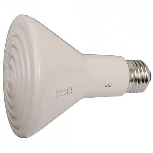 Finca casarejo bombilla de calor elstein para pollitos