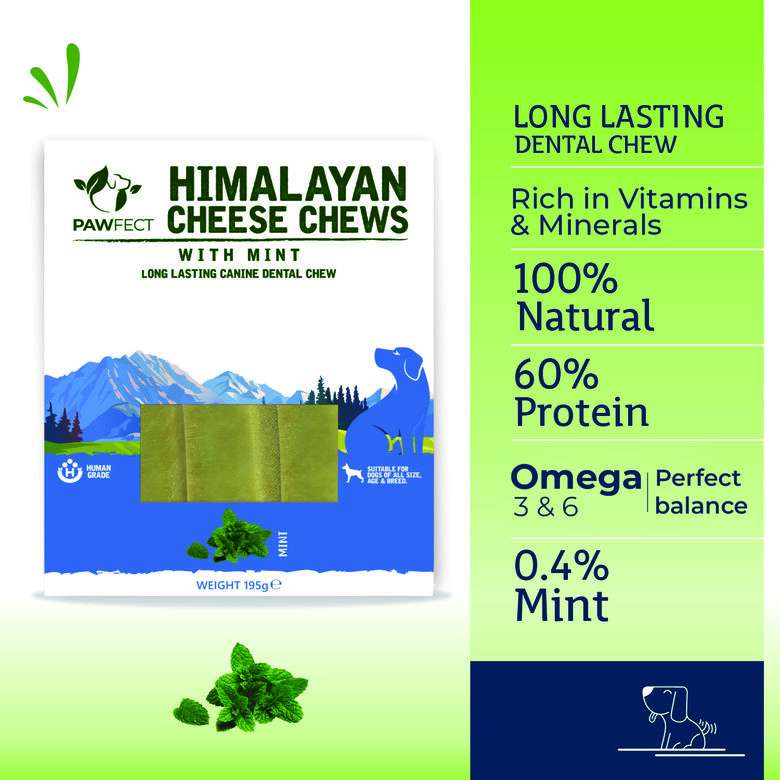 Pawfect Masticables dentales de queso del Himalaya, menta thumbnail