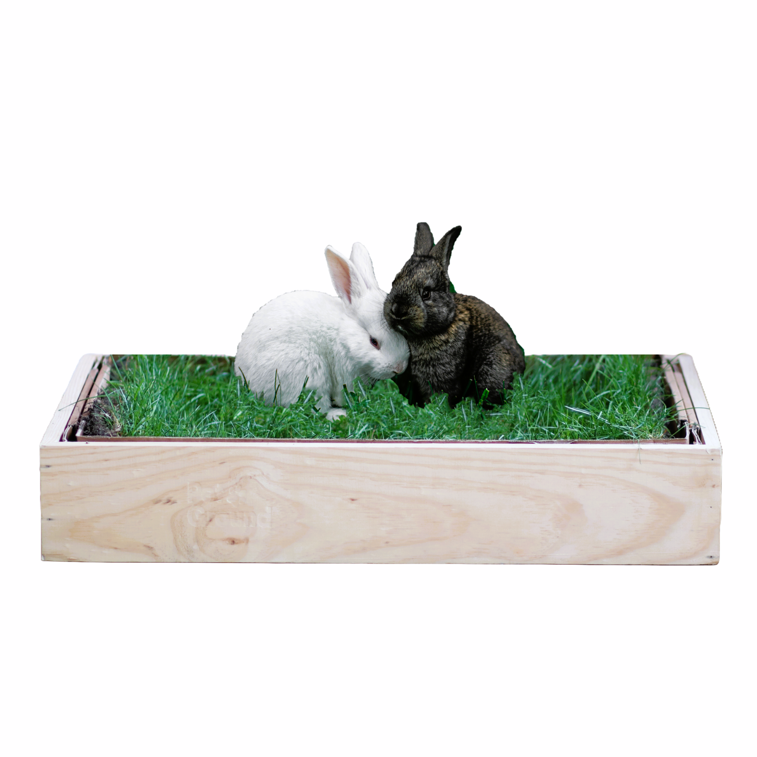 Petground, Cama para conejos, Caja de Madera, Accesorio, Mueble, Standard, , large Imagen numero 1