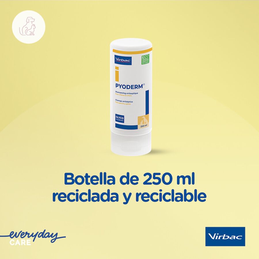Virbac Pyoderm Champú Antiséptico Dermatológico para perros thumbnail