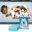 Nobleza - 30 x Empapadores Perros Alfombrilla higiénica de Entrenamiento para Perros. Ultraabsorbente 90cm*60cm., , large indicador imagen numero 15