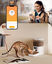 Oneisall Smart Pet Bowl PFD-001 Pro CW15010, , large indicador imagen numero 2