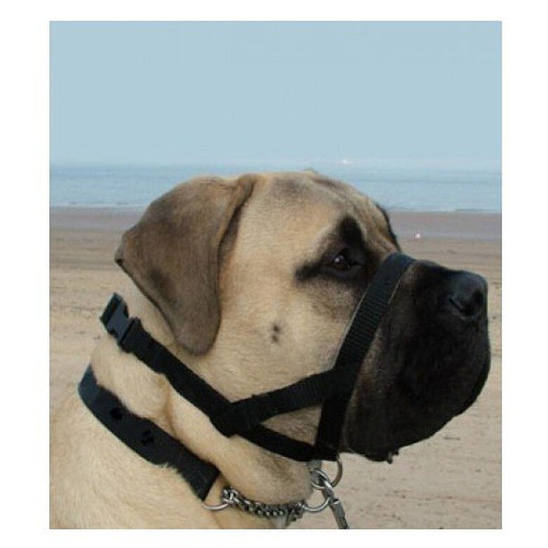 Kumfi Dogalter collar anti tirones para perros image number null